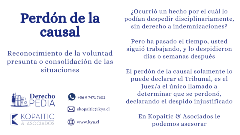 Artículo 1698 del Código Civil: CLAVE para tu DERECHO Civil