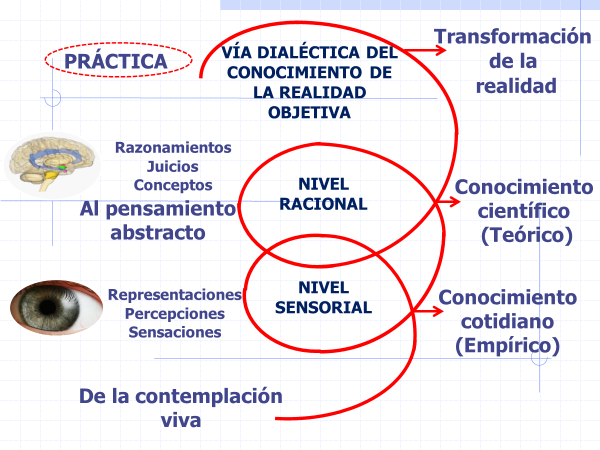 Autoría mediata en México: CLAVE PARA ENTENDER EL CONCEPTO