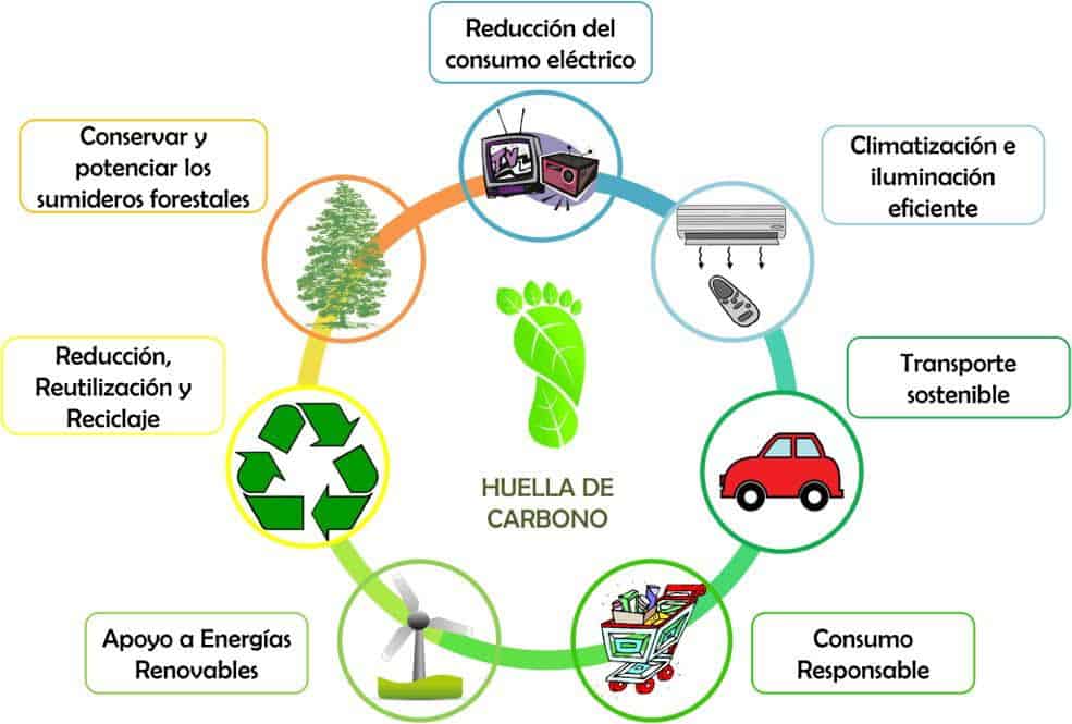 Cómo podemos reducir nuestra huella de carbono y su impacto