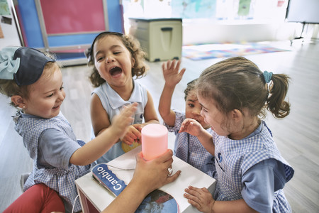 Cómo se organizan los servicios complementarios en los centros educativos