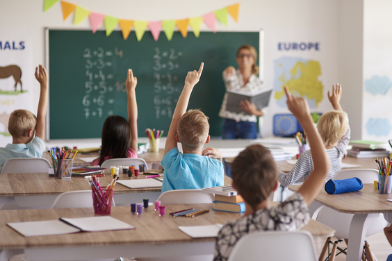 Cómo se regula la educación primaria en España