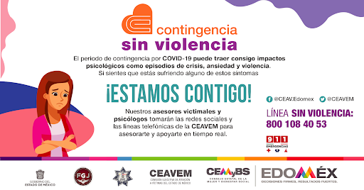 como se regula la violencia domestica en mexico en 2025