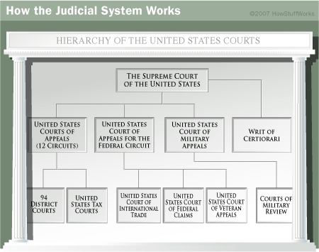 Competencia del Tribunal del Jurado: Ejemplos y Claves