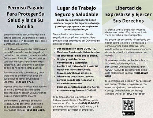 Conoces tus derechos laborales según el ART 19 del ET