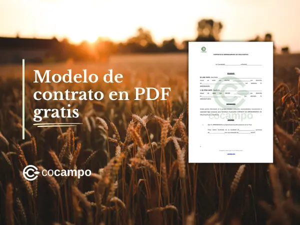 Contrato de Arrendamiento de Finca Rústica: Modelo y Ley