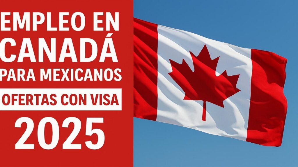 Contrato en México ▷ Guía LEGAL 2026 para ENTENDERLO Mejor