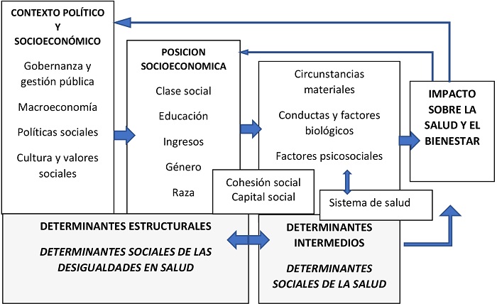 Cuál es el impacto y la relevancia del ART. 63 CE en nuestra sociedad