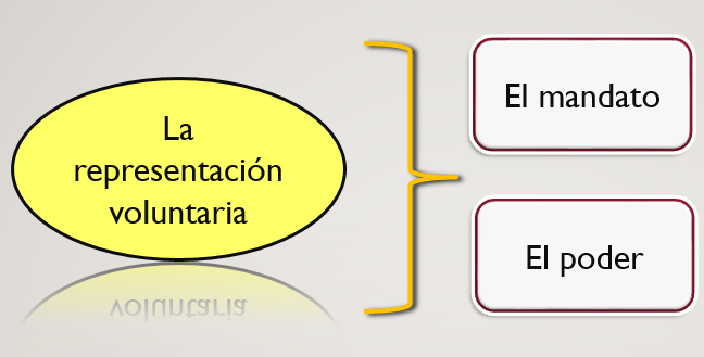 Cuál es el reglamento y valor jurídico del poderdante en Chile