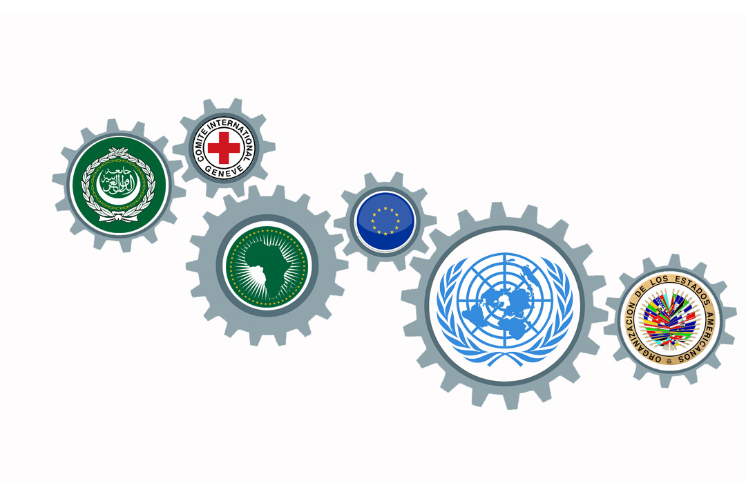 cuales son 2 organizaciones clave en participacion internacional