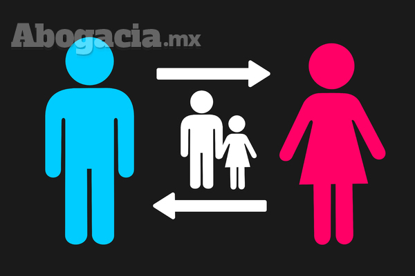 Cuáles son las diferencias entre patria potestad y custodia