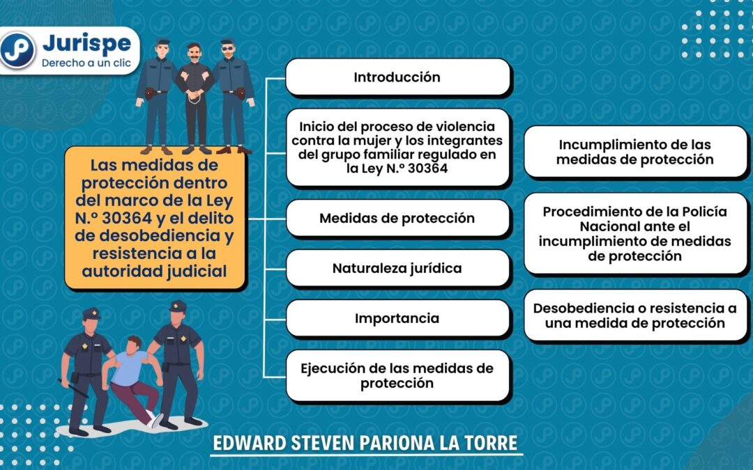 Cuáles son las medidas de seguridad en el sistema judicial