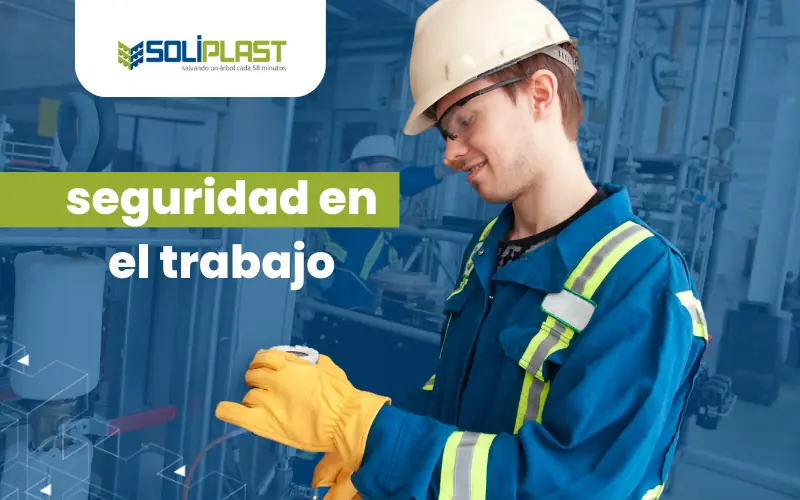 Cuáles son las medidas, regulaciones y procedimientos de seguridad en Chile