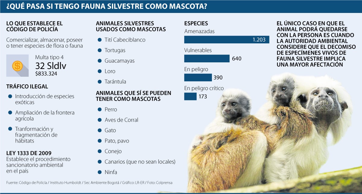 Cuáles son las sanciones por maltrato animal en Colombia