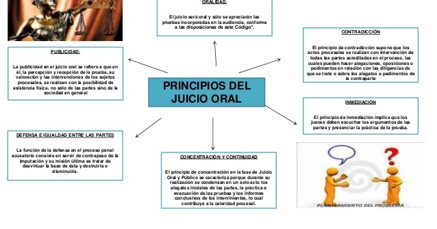 Cuáles son los 4 principios clave del proceso penal y su importancia