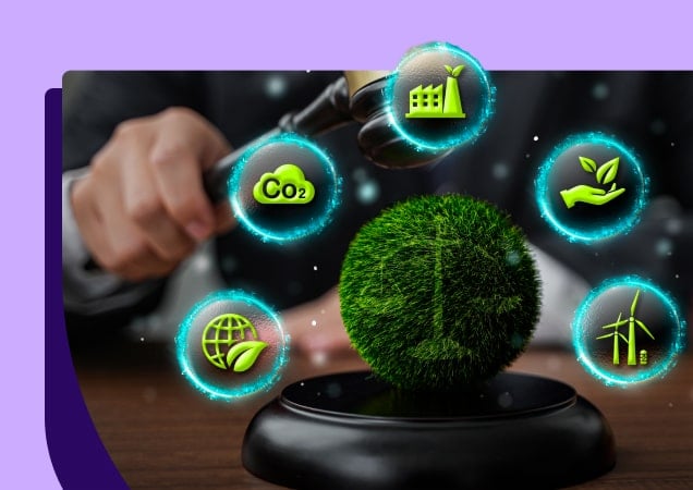 Cuáles son los principios clave del Derecho Ambiental