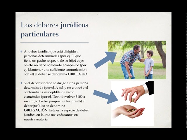 Deber Jurídico Qué Es y Cuáles Son Sus ELEMENTOS Clave