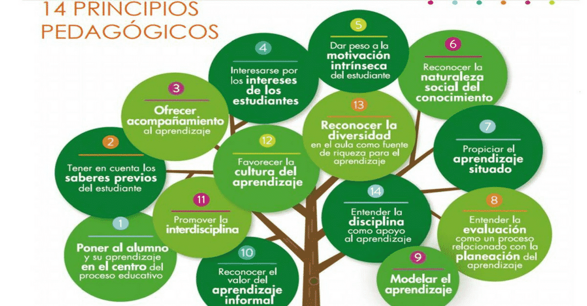 Derecho Educativo en México: Claves y Ejemplos Esenciales