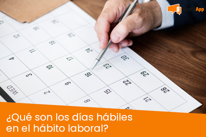 DÍAS HÁBILES: QUÉ SIGNIFICA Y SU IMPORTANCIA LEGAL