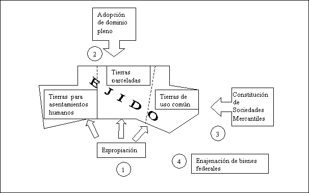 DOMINIO PLENO EN MÉXICO: CLAVE, REGULACIÓN Y ADQUISICIÓN