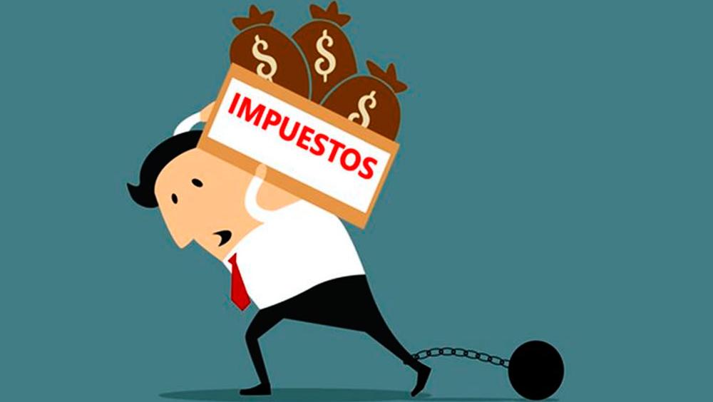 En qué consiste el principio de no confiscatoriedad y sus ejemplos clave