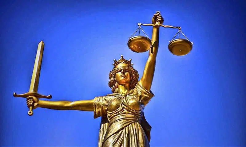 Falsa Denuncia en Argentina: Qué Hacer y Consecuencias