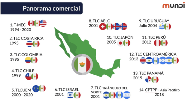 Grupos Empresariales en México: Ventajas y Desventajas Clave