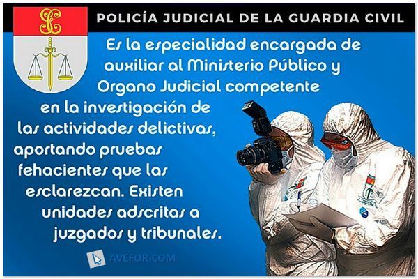GUARDIA JUDICIAL: Funciones y Cómo Funcionan en los Juzgados