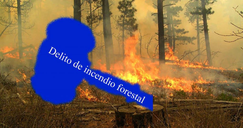 Incendio Grave en España: Concepto, Delitos y Penas