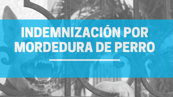 Indemnización por Mordedura de Perro 2024: Tabla y Casos