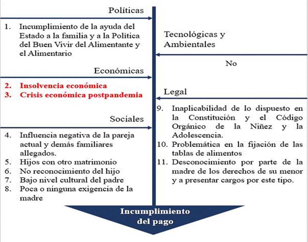 JUICIO DE ALIMENTOS EN MÉXICO: PROCESO Y ETAPAS CLAVES