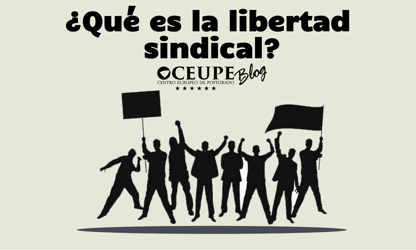 Libertad Sindical en España: Qué es y Cómo se Regula