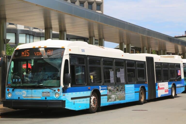 LÍNEAS REGULARES DE TRANSPORTE: Qué son y cómo funcionan