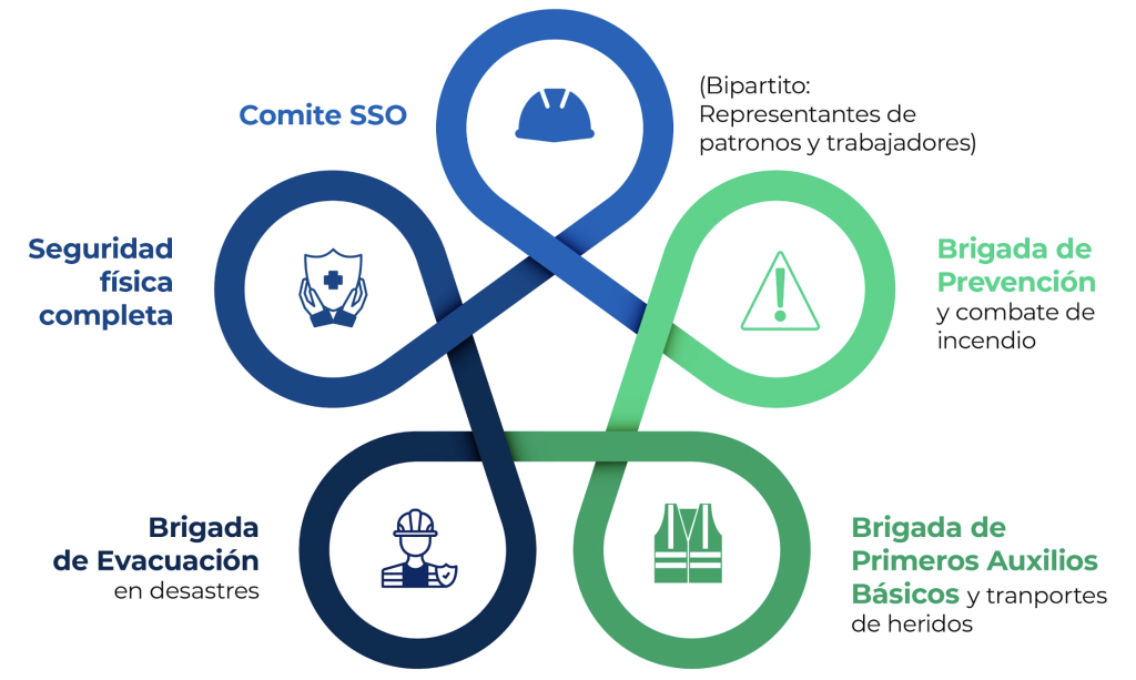 Medida de seguridad en Guatemala: CLAVES y TIPOS Esenciales