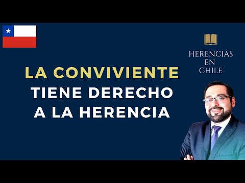 Pareja de hecho en Chile: DERECHOS, LEY de CONVIVENCIA y MÁS