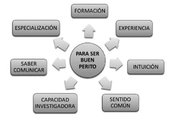 PERITO JUDICIAL EN COLOMBIA: VALOR Y FUNCIONES CLAVE