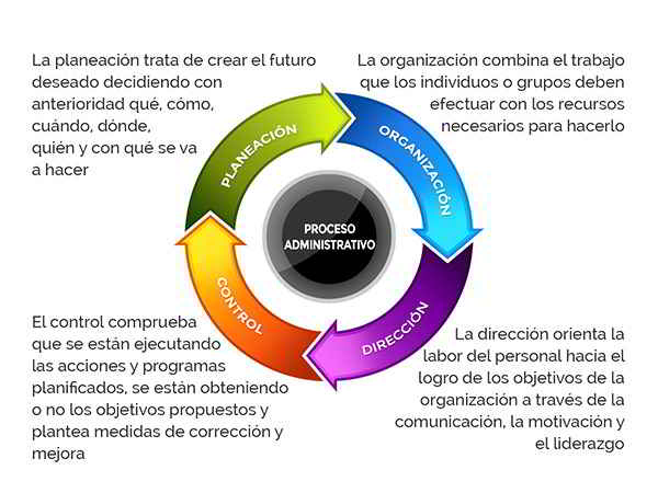 Procedimiento Administrativo 2026: Concepto, Fases y Claves