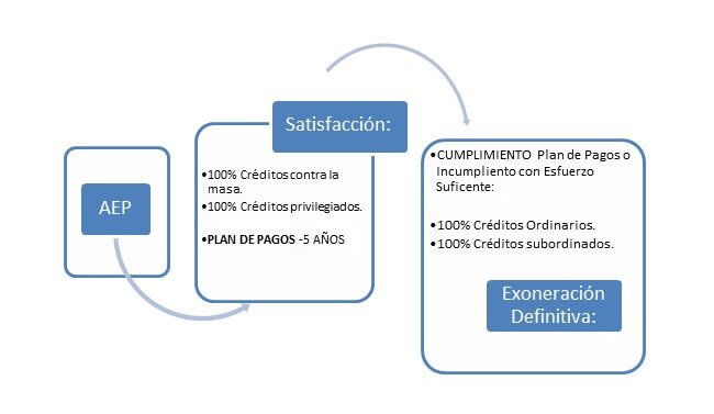 Qué es BEPi y Cómo Funciona su Plan de Pagos