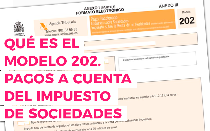 Qué es el Artículo 202 de la Ley de Sociedades y sus claves