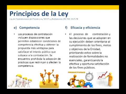 Qué es el principio de eficiencia en contratación pública
