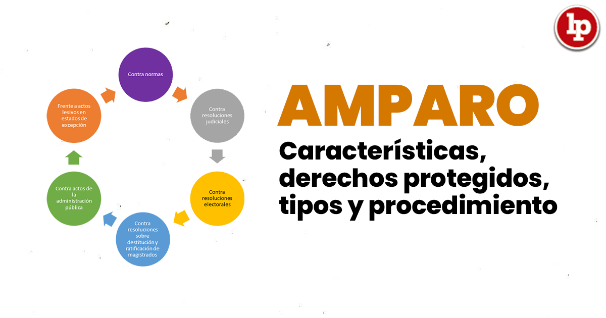 Qué es el recurso de amparo Conceptos y ejemplos clave