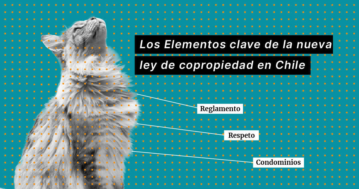 Qué es la copropiedad en Chile y cuáles son sus claves legales