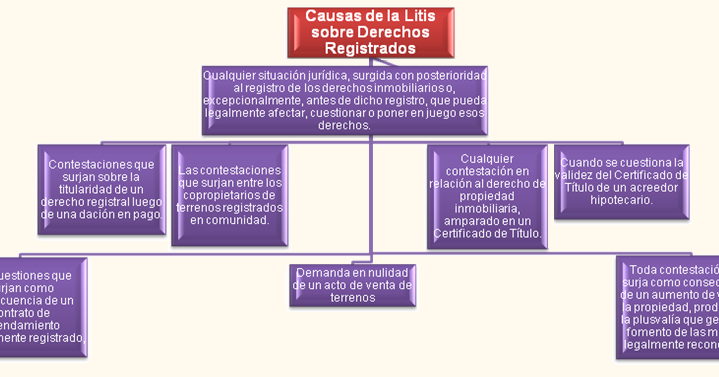 Qué es la litis y cuál es su validez legal en el derecho