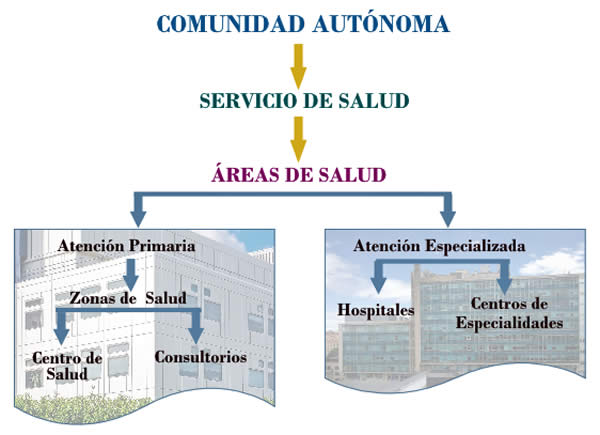 Qué es un área de salud y cómo se gestiona su funcionamiento