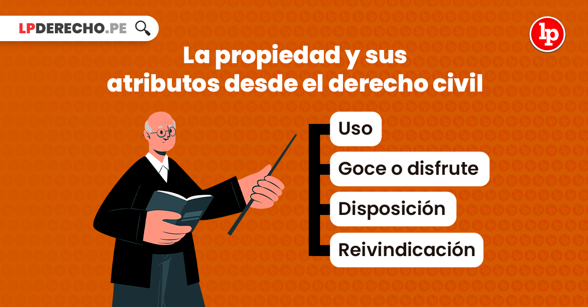 Qué establece el artículo 14 del Código Civil y sus aspectos clave
