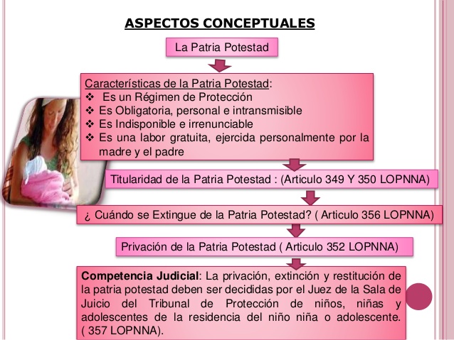 Qué regula, designa y obliga al tutor legal en Venezuela