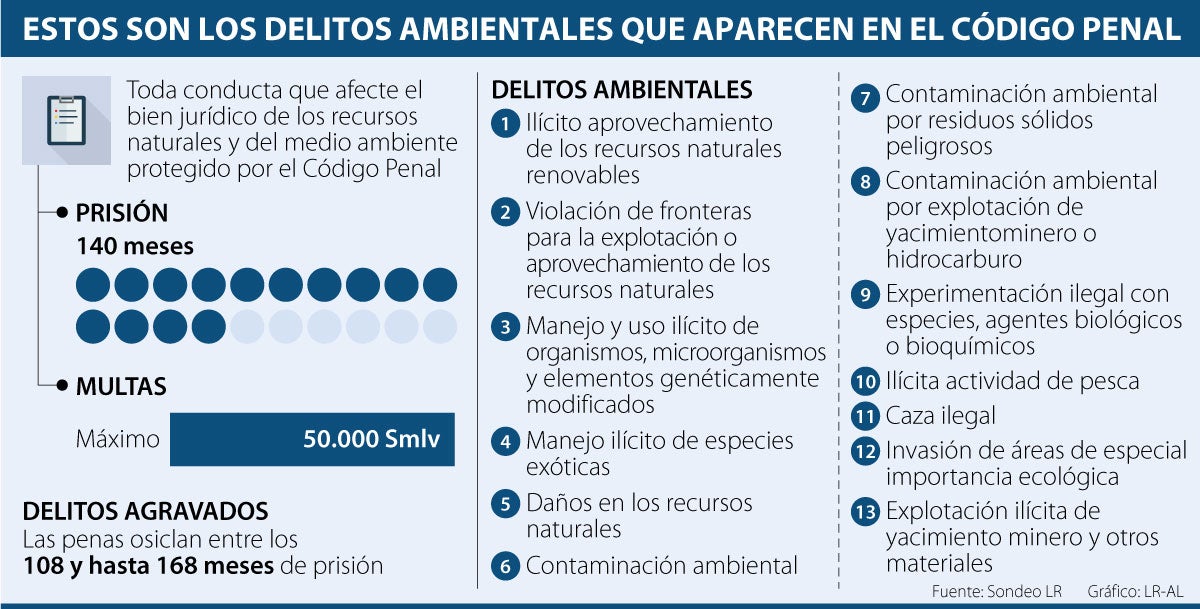 Qué son las infracciones ambientales y sus multas principales