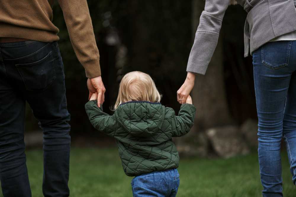 Qué son las Medidas Coetáneas en Procesos de Familia