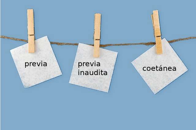 Qué son las medidas provisionales en familia y cuáles existen