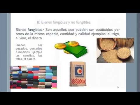 Qué son los bienes fungibles en España y cómo se regulan