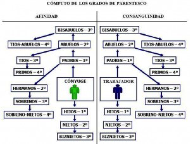 Qué son los grados de parentesco y afinidad en la familia